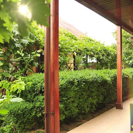 Hotel Casa Boby Murighiol Exterior foto