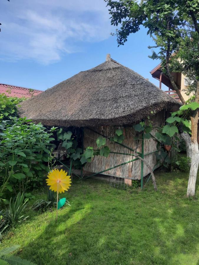 Hotel Casa Boby Murighiol Exterior foto